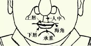 微信图片_20250426124055.webp