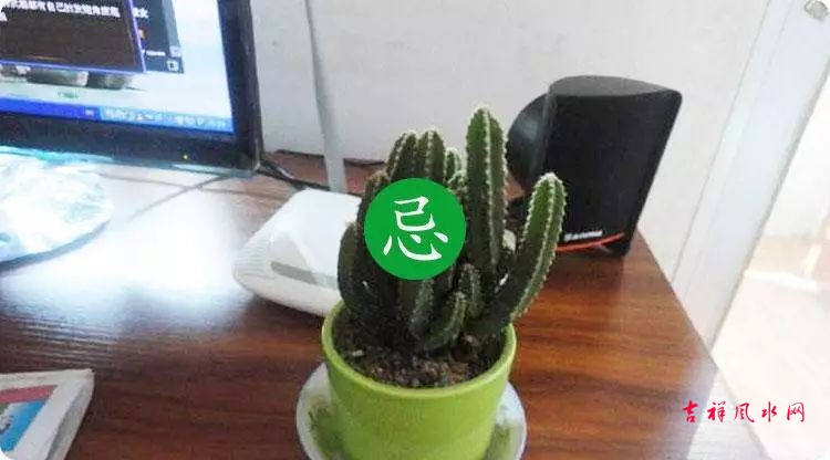 1698983154845850.jpg 微信图片_20231103114009.jpg