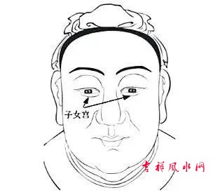1699330565290984.jpg 微信图片_20231107121247.jpg